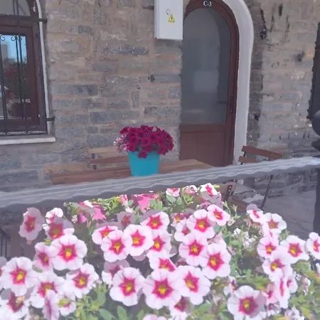 Dolphin Residences Coleus 3 Appartement *